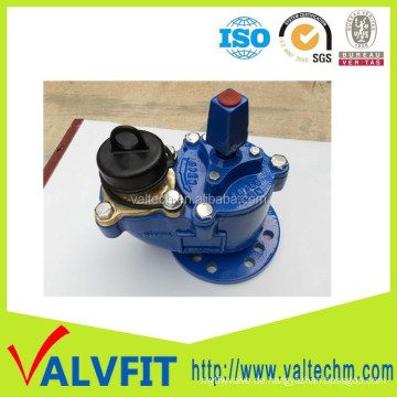 BS750 unter gemahlenem Feuerhydrant